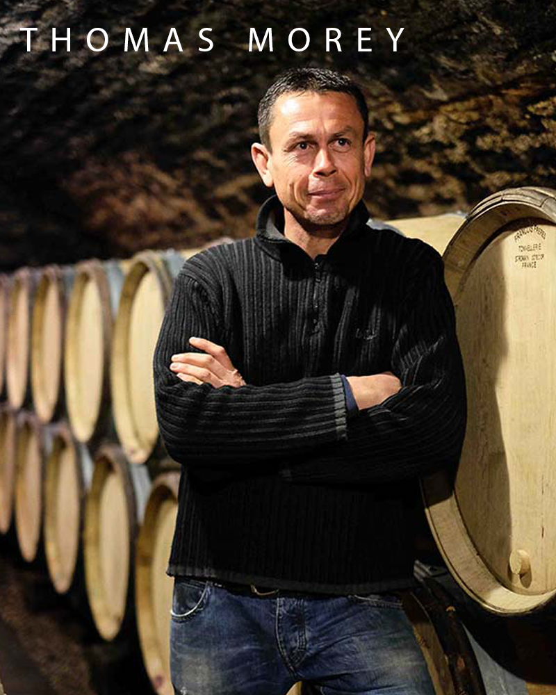 Domaine Thomas Morey